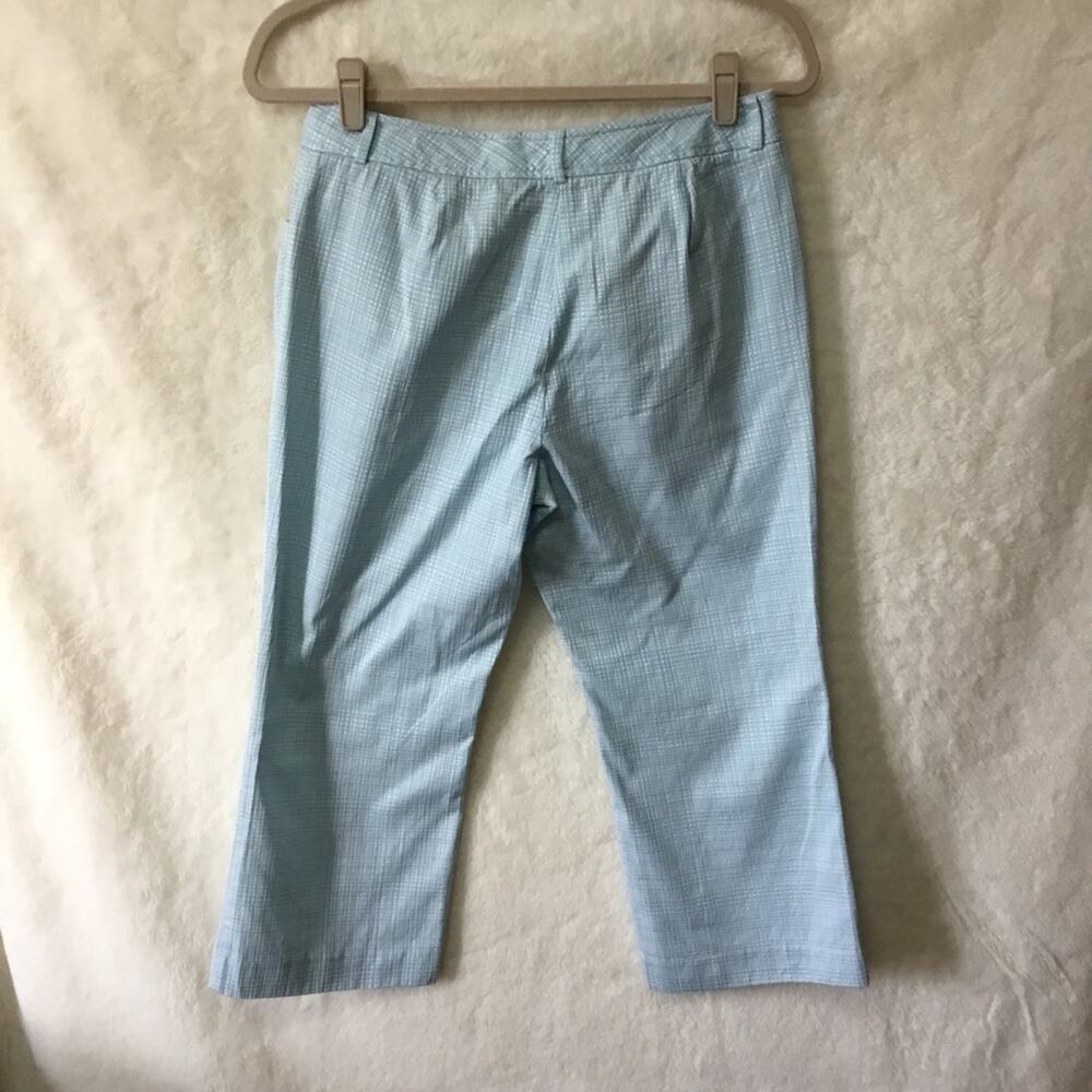 Ann Taylor Blue Pattern Crop Pants - Picture 9 of 11